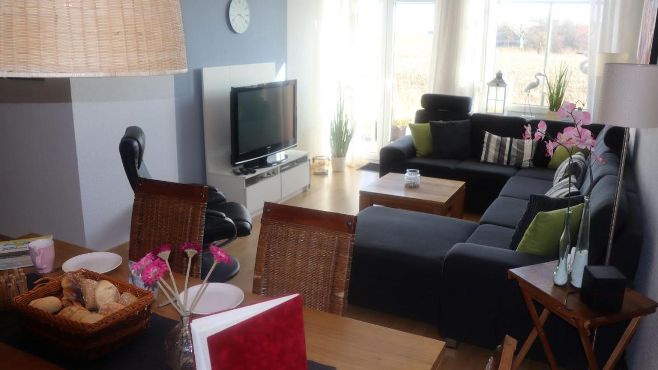 Ferienwohnung Deichblick Дорнумерзил Екстериор снимка